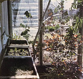 Plants and vegetable starts thrive in the glass portico.